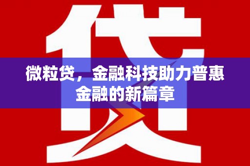 瑞穗微粒贷，金融科技助力普惠金融的新篇章
