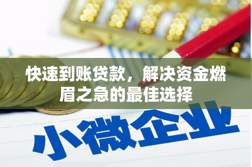瑞穗快速到账贷款，解决资金燃眉之急的最佳选择