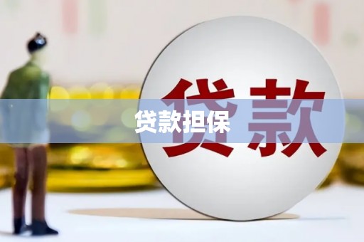 瑞穗贷款担保