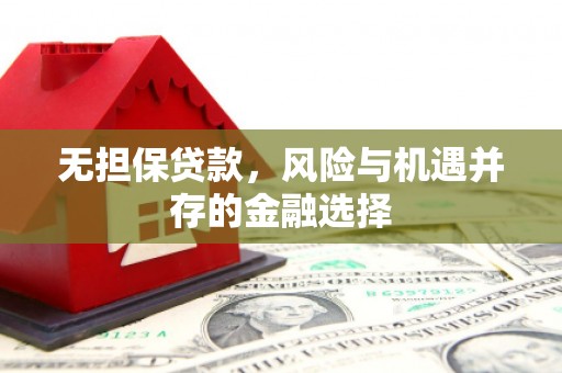 瑞穗无担保贷款，风险与机遇并存的金融选择