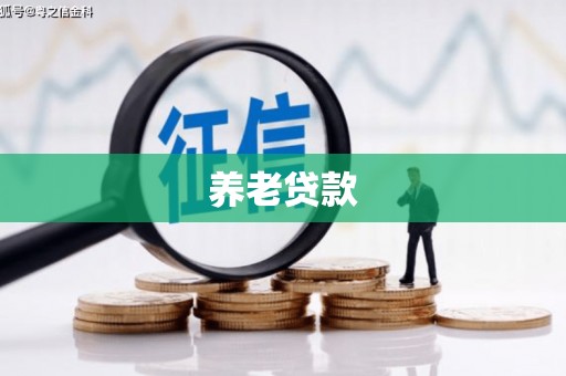 瑞穗养老贷款
