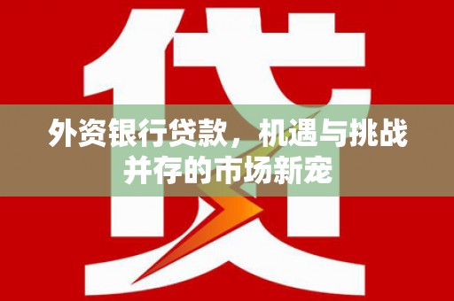 瑞穗外资银行贷款，机遇与挑战并存的市场新宠
