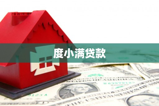 瑞穗度小满贷款