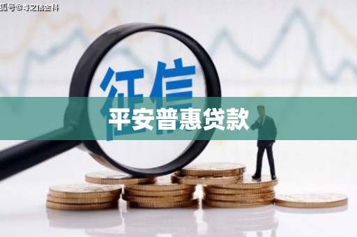 瑞穗平安普惠贷款