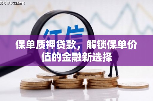 瑞穗保单质押贷款，解锁保单价值的金融新选择