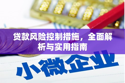 瑞穗贷款风险控制措施，全面解析与实用指南