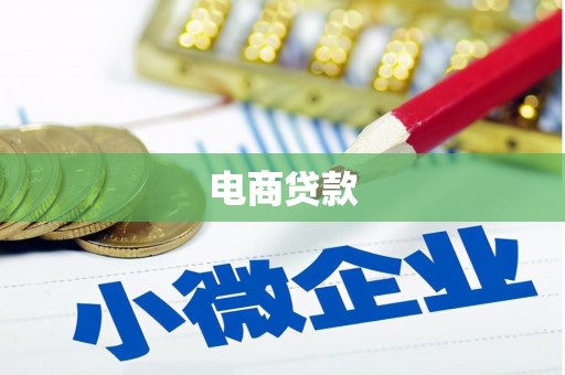瑞穗电商贷款