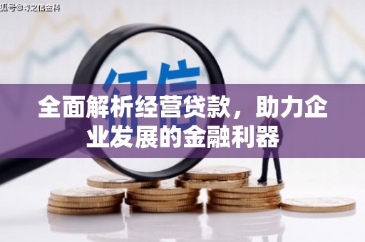 瑞穗全面解析经营贷款，助力企业发展的金融利器