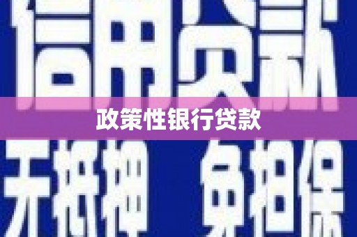 瑞穗政策性银行贷款