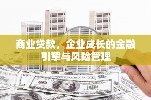 瑞穗商业贷款，企业成长的金融引擎与风险管理