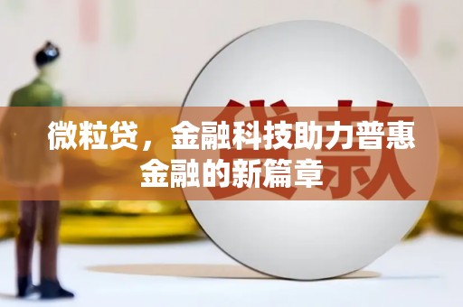 瑞穗微粒贷，金融科技助力普惠金融的新篇章
