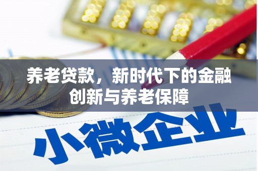 瑞穗养老贷款，新时代下的金融创新与养老保障