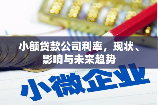 瑞穗小额贷款公司利率，现状、影响与未来趋势