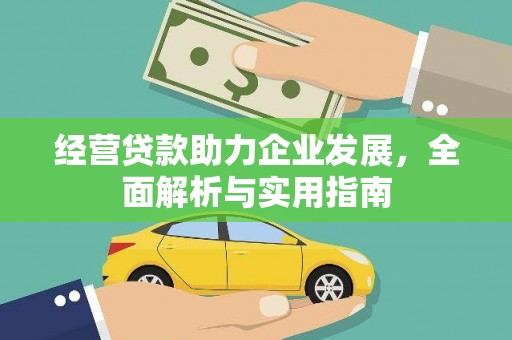瑞穗经营贷款助力企业发展，全面解析与实用指南