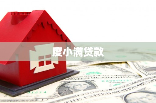 瑞穗度小满贷款