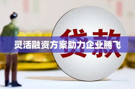 瑞穗灵活融资方案助力企业腾飞