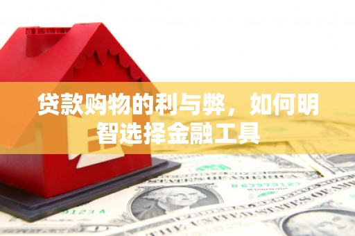 瑞穗贷款购物的利与弊，如何明智选择金融工具