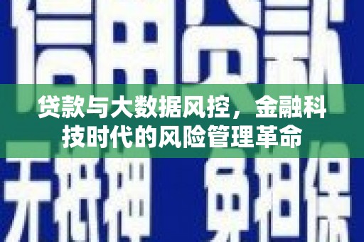 瑞穗贷款与大数据风控，金融科技时代的风险管理革命