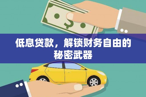 瑞穗低息贷款，解锁财务自由的秘密武器