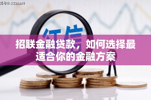 瑞穗招联金融贷款，如何选择最适合你的金融方案