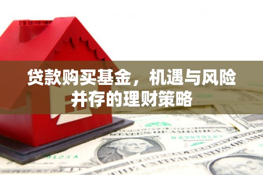 瑞穗贷款购买基金，机遇与风险并存的理财策略
