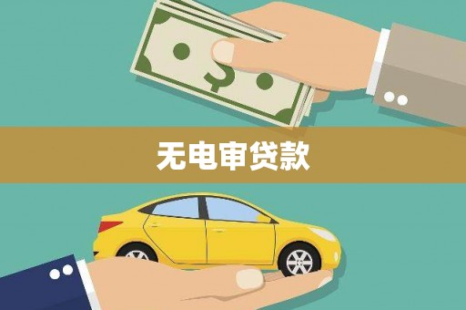 瑞穗无电审贷款