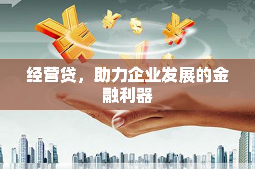 瑞穗经营贷，助力企业发展的金融利器