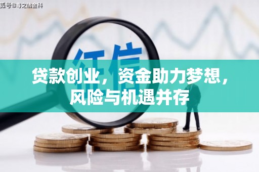 瑞穗贷款创业，资金助力梦想，风险与机遇并存