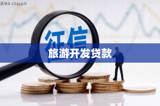 瑞穗旅游开发贷款