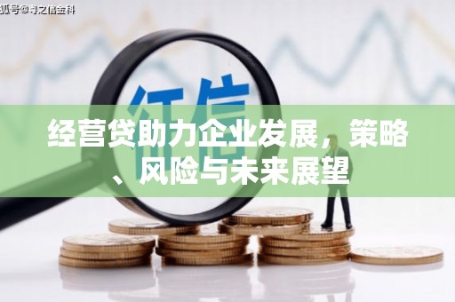 瑞穗经营贷助力企业发展，策略、风险与未来展望