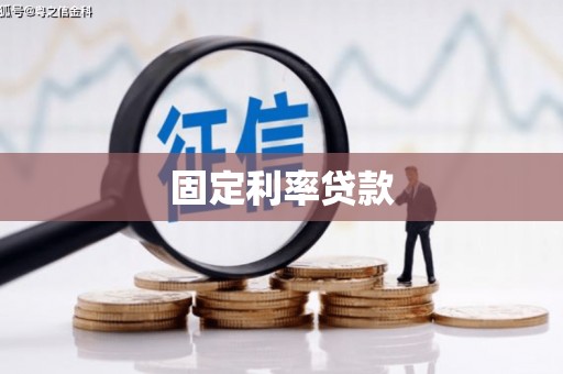 瑞穗固定利率贷款
