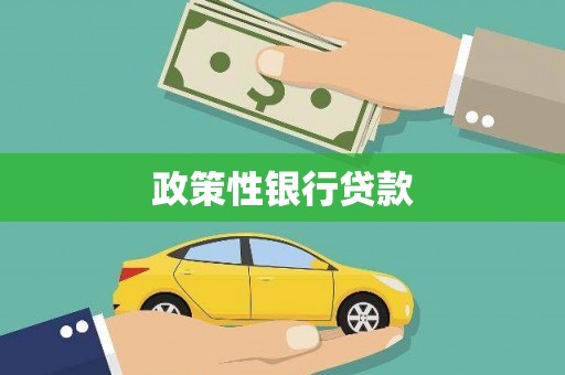 瑞穗政策性银行贷款