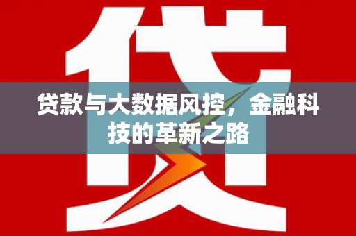 瑞穗贷款与大数据风控，金融科技的革新之路