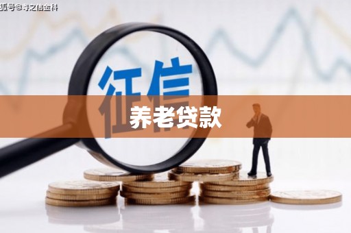 瑞穗养老贷款