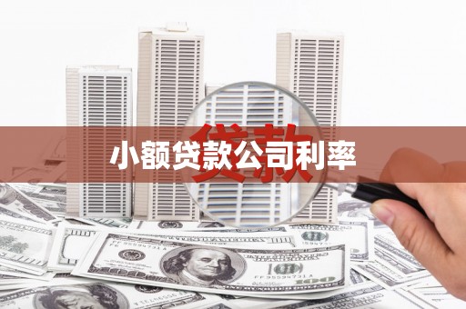 瑞穗小额贷款公司利率
