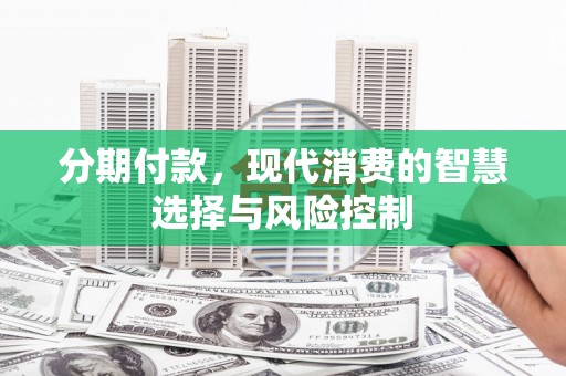 瑞穗分期付款，现代消费的智慧选择与风险控制