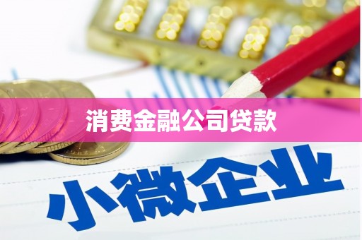 瑞穗消费金融公司贷款
