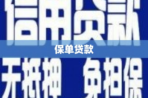 瑞穗保单贷款