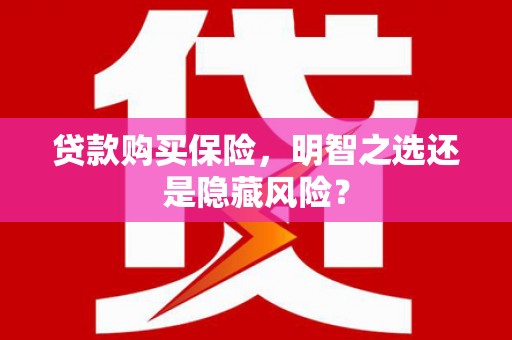 瑞穗贷款购买保险，明智之选还是隐藏风险？