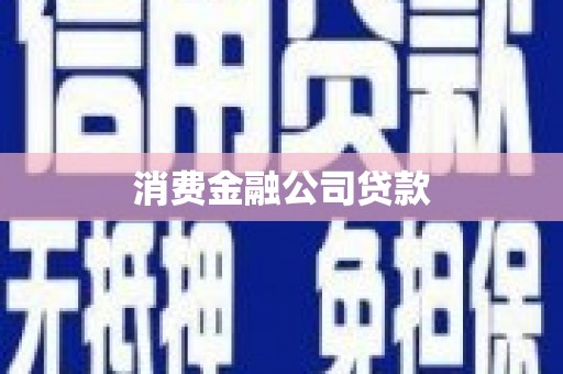 瑞穗消费金融公司贷款