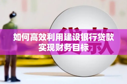 瑞穗如何高效利用建设银行贷款实现财务目标