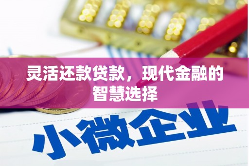 瑞穗灵活还款贷款，现代金融的智慧选择