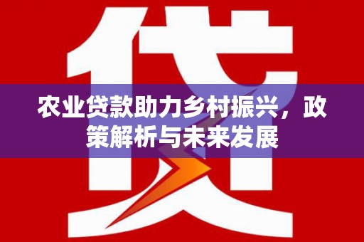 瑞穗农业贷款助力乡村振兴，政策解析与未来发展