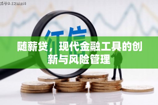 瑞穗随薪贷，现代金融工具的创新与风险管理