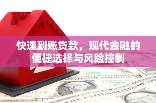 瑞穗快速到账贷款，现代金融的便捷选择与风险控制