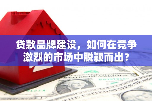 瑞穗贷款品牌建设，如何在竞争激烈的市场中脱颖而出？