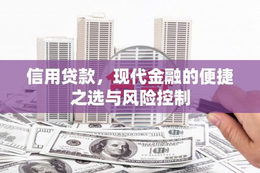 瑞穗信用贷款，现代金融的便捷之选与风险控制