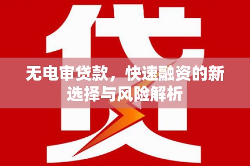 瑞穗无电审贷款，快速融资的新选择与风险解析