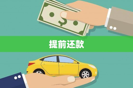 瑞穗提前还款