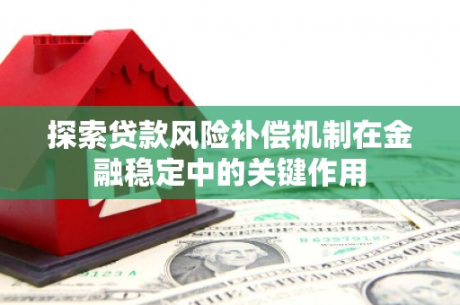 瑞穗探索贷款风险补偿机制在金融稳定中的关键作用